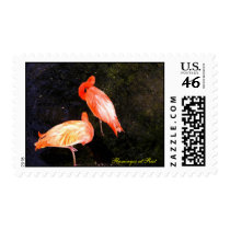 Flamingos at Rest -  Postage