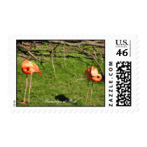 Flamingos at Rest - Postage