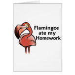 Flamingos ate my Homework cards