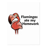 Flamingos ate my Homework Post Cards