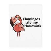 Flamingos ate my Homework Post Cards