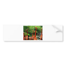 Flamingos Bumper Sticker