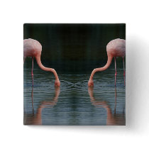 Flamingos buttons
