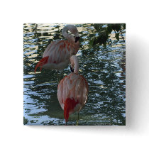 Flamingos Button
