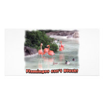 flamingos can't blush! photo greeting card