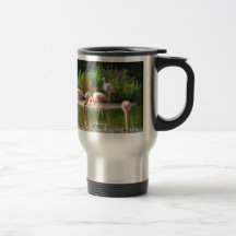 Flamingos Coffee Mug