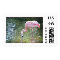 Flamingos Drink postage by slinky789 Flamingos Drink postage
