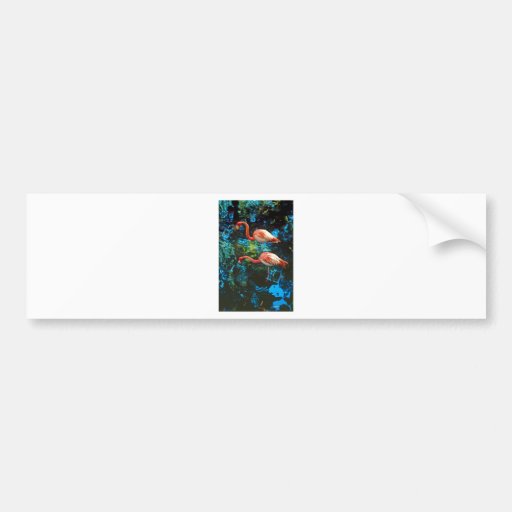 Flamingos FL Bumper Sticker