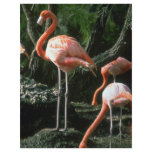 Flamingos Custom Flyer