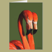 Flamingos cards