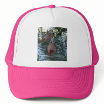Flamingos Hats
