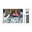 Flamingos in the Snow - Stamp