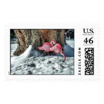 Flamingos in the Snow - Stamp