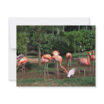 flamingos invitations by KanweieneaKreations flamingos invitations