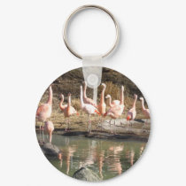 flamingos keychains
