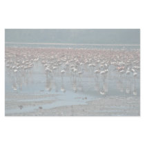 Flamingos, Lake Nakuru, Kenya Customized Stationery