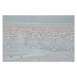 Flamingos, Lake Nakuru, Kenya Customized Stationery