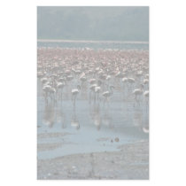 Flamingos, Lake Nakuru, Kenya Stationery Paper
