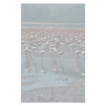 Flamingos, Lake Nakuru, Kenya Stationery Paper