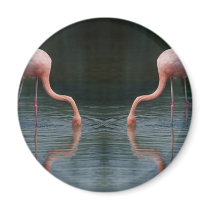Flamingos magnets