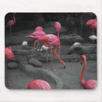 Flamingos! mousepads by Dynomoose Flamingos! mousepads