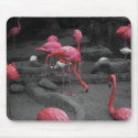 Flamingos! mousepads