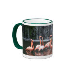Flamingos Mug
