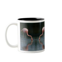 Flamingos mugs