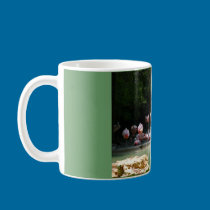 Flamingos mugs