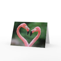 Flamingos note card