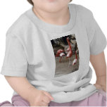 Flamingos on Parade t-shirts