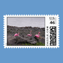 Flamingos on the Rocks postage
