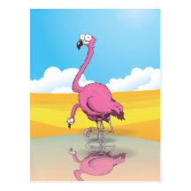 flamingos post cards