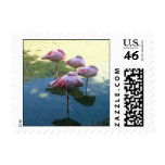 Flamingos postage