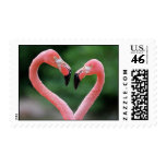 Flamingos postage stamps