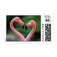 Flamingos postage stamps