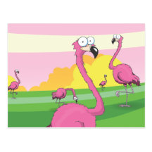 flamingos postcards