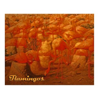 flamingos print