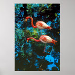 Flamingos - posters