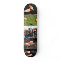 Flamingos Skate Board skateboards