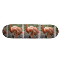 Flamingos Skateboard