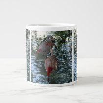 Flamingos