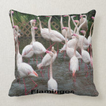 Flamingos Throw Pillows