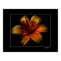 Flamming Passion Flower posters