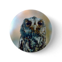 Flammulated owl buttons