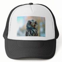 Flammulated owl trucker hat