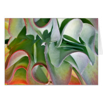 Flapjack plant note card by Debra Lee Baldwin cards