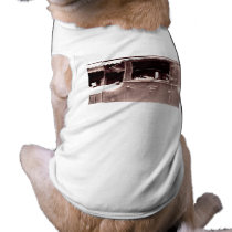Flapper in Eastman Kodak Car - Vintage, 1920s pet clothing