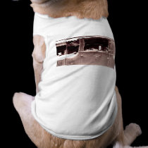Flapper in Eastman Kodak Car - Vintage, 1920s pet clothing