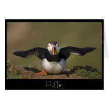 Flapping Puffin Cards
